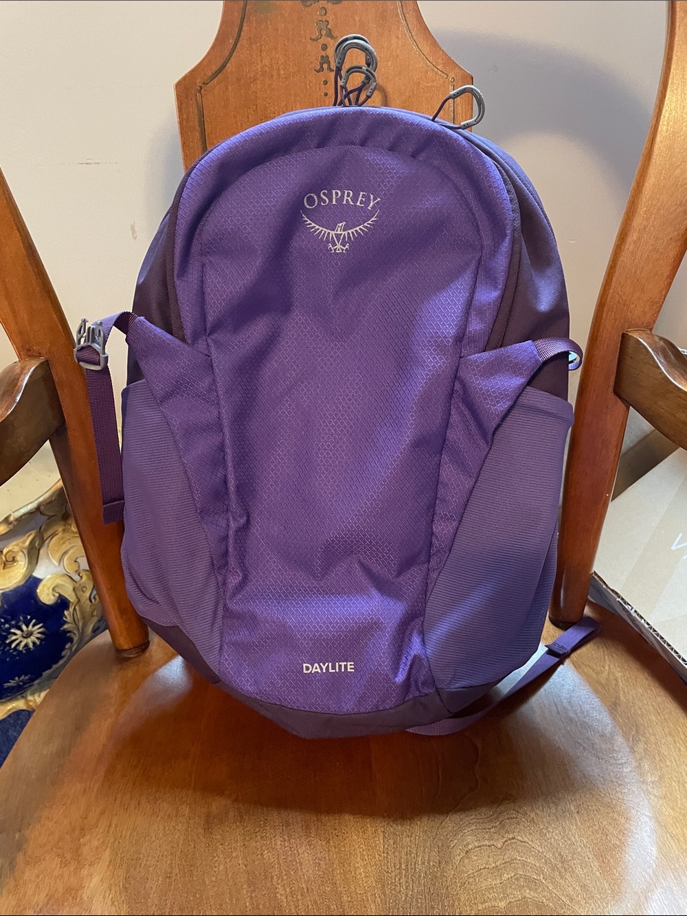 OSPREY Daylite Women's Backpack in Purple